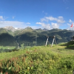 Foto 16.07.17, 08 50 47