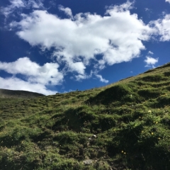 Foto 16.07.17, 16 28 12
